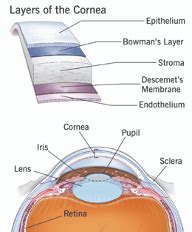 Corneal Care | Katzen Eye Care & Laser Center | West Palm Beach