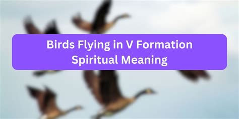 Birds Flying in V Formation Spiritual Meaning (Facts)