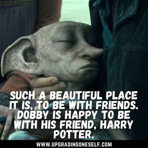 Top 17 Beautiful Quotes From Dobby That Are Heart-Touching