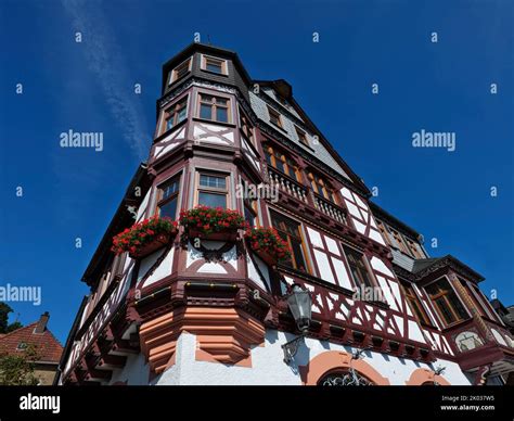 Europe, Germany, Hesse, Hessen-Nassau, Taunus, Taunus Nature Park ...