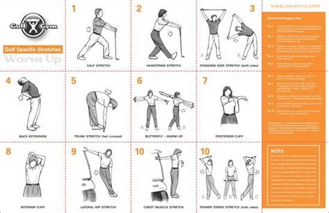 Golf Specific Workouts For Seniors | EOUA Blog