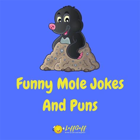 50+ Funny Ant Jokes Puns That Are Brilli-ant! | LaffGaff