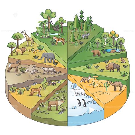 Types of habitats and various ecosystems collection in pie outline diagram - VectorMine