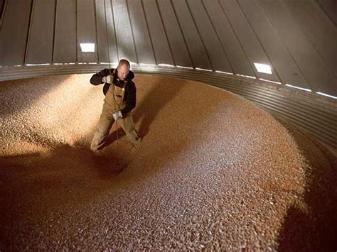 Market Situation of Steel Grain Silos in America