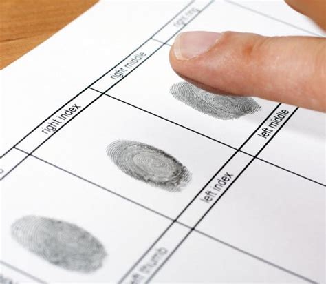 Role Of Fingerprint Evidence In Houston Theft Cases