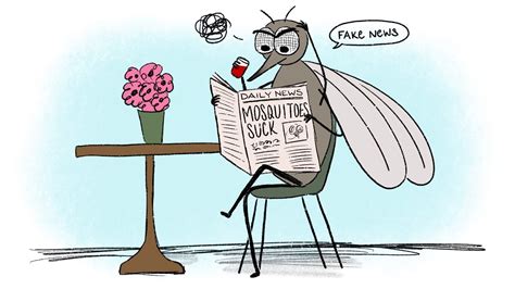 Five mosquito myths and one truth that really bite