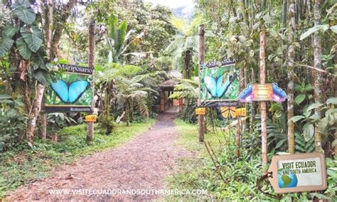 Things to do in Mindo: Visit a butterfly farm - Visit Ecuador and South ...