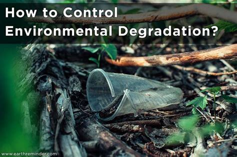 How to Control Environmental Degradation? - Earth Reminder