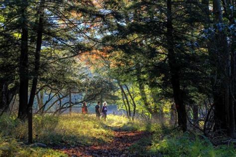 Canaan Valley Resort unveils new guided hiking program - West Virginia Explorer