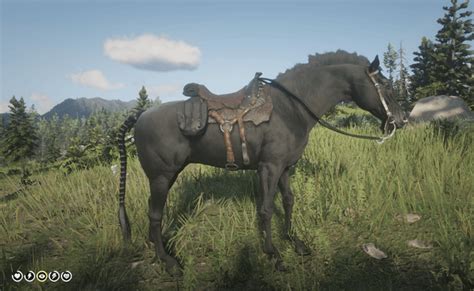 RDR2 The Ultimate Saddle... : r/RDR2