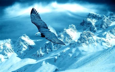 Download Snow Mountain Landscape Winter Flying Bird Animal Eagle HD Wallpaper