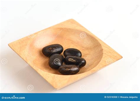 Mucuna pruriens DC., Seeds stock photo. Image of medicinal - 52318300