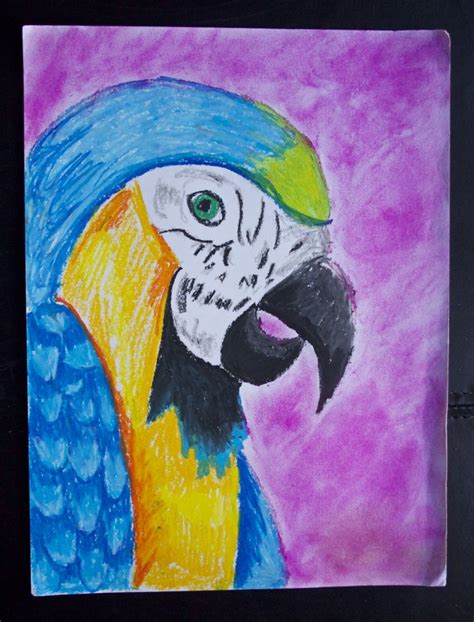 Oil Pastel parrot (step by step for the little ones) | Macaw art ...