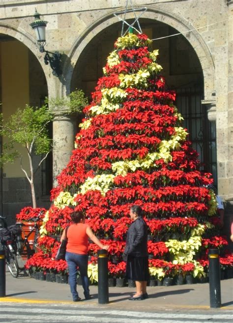 México a través de la mirada de una cubana: Tradición del Árbol de Navidad en México