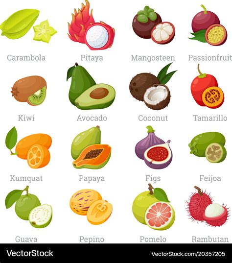 Exotic tropical fruits set with names Royalty Free Vector