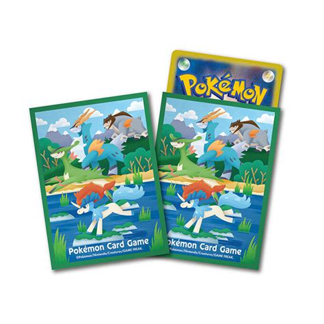 Pokemon Center's TCG Merchandise for October Revealed! - PokeBeach ...