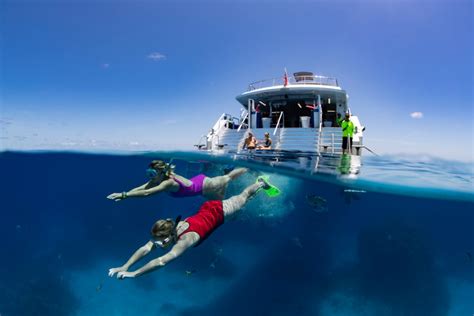 The Best Queensland Cruise Holidays For Your Next Adventure | Queensland