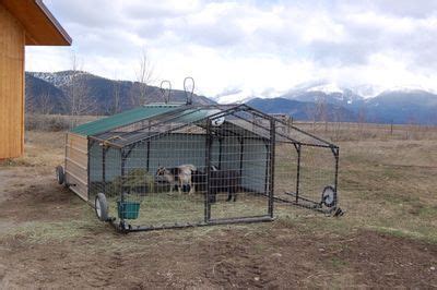 #goatvet says this is a terrific idea- a movable goat pens so goats can ...