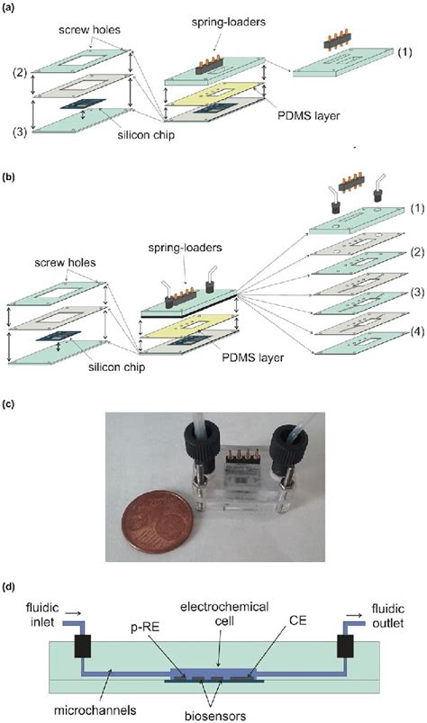 a Scheme of the PMMA cell used for the biosensors fabrication: layer 1... | Download Scientific ...