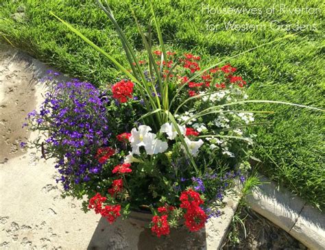 Red, White & Blue Patriotic Flower Pot - Western Garden Centers