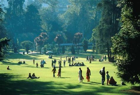 Photo Gallery of Ooty Hill Station- Explore Ooty Hill Station with Special Attractive Real Pictures