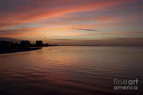 Sunrise over Fort Myers Beach Photo Photograph by Meg Rousher - Fine Art America