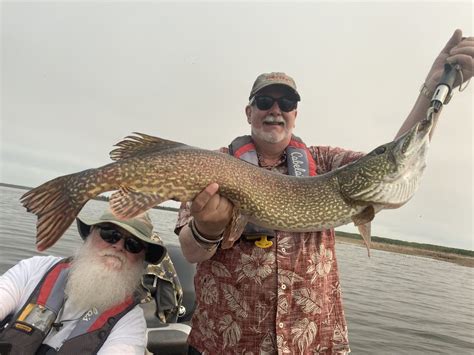 Saskatchewan Trophy Fishing | Northern Pike Fishing | Walleye