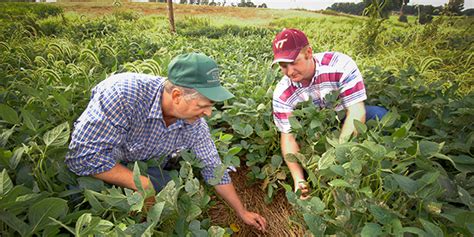 Young Farmers Not Always Prepared for Ag’s Many Challenges – US Farm ...