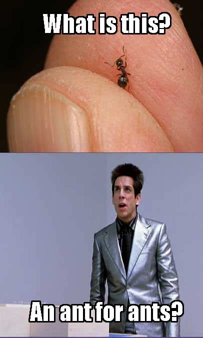 An ant for ants? | What is This? A Center for Ants? | Know Your Meme