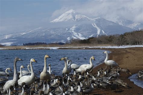 Tohoku – Scenic Japan Tours