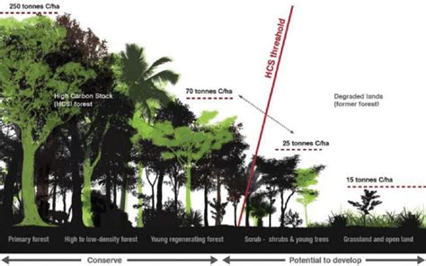 High Carbon Stock (HCS) forest stratification in tropical forests,... | Download Scientific Diagram