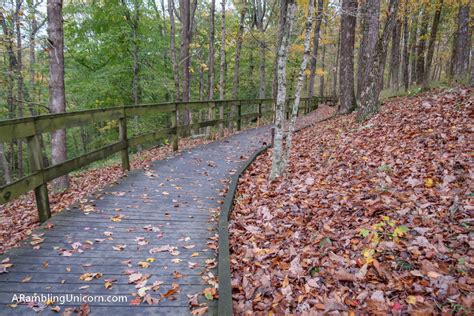 Hiking in Mammoth Cave National Park - A Rambling Unicorn