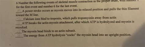 . The terminal cisternae of the sarcoplasmic reticulum release ...