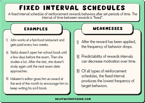 15 Fixed Interval Schedule Examples (2024)