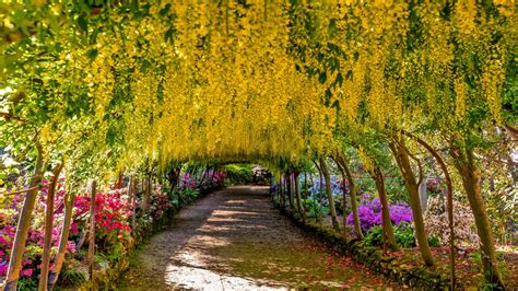 Bodnant Garden - Llandudno.com