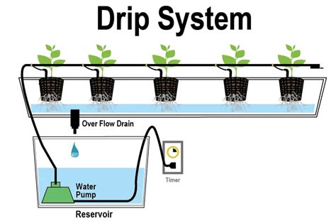 What Is The Best Water Pump Size For Hydroponics? | UrbanOrganicYield.com