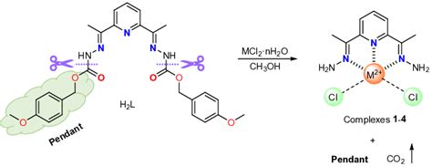 Scheme 2. Hydrolysis of the carbamate H 2 L release the dihydrazone L ...