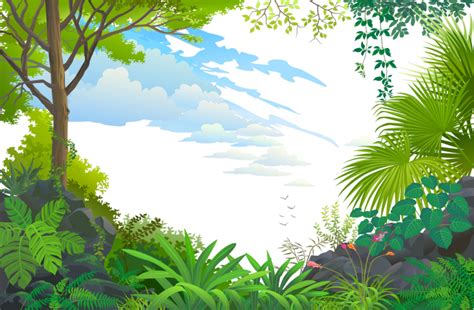 Jungle Png Clipart Background