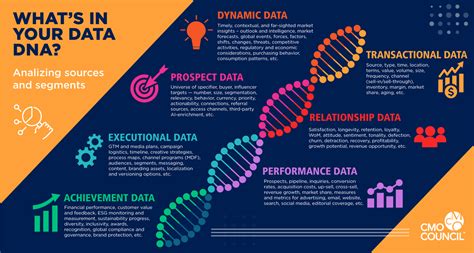 What is in your data DNA - Infographic - Thought Leadership - CMO Council™