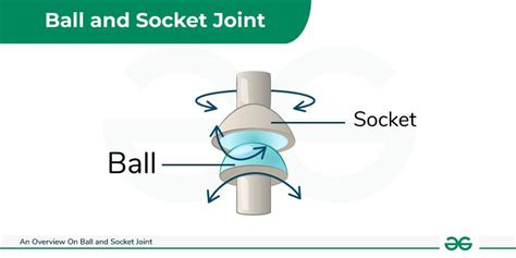 Overview On Ball and Socket Joint - Functions and Examples - GeeksforGeeks