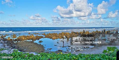 110 Nauru Beach Stock Photos, High-Res Pictures, and Images - Getty Images