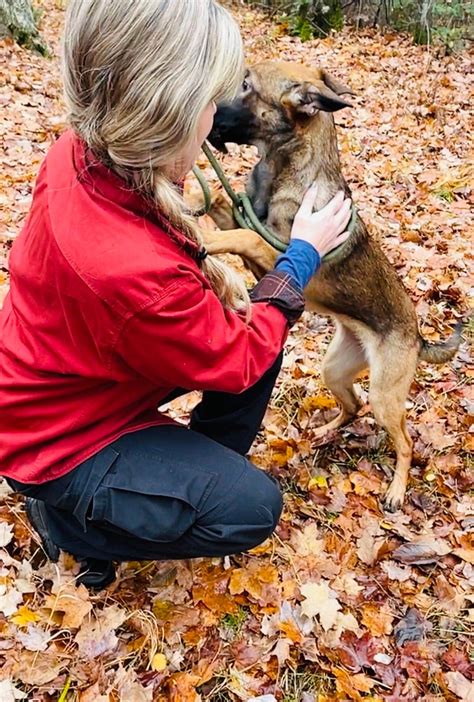 Langlade County Sheriff's Office adds new K9 Unit through memorial ...