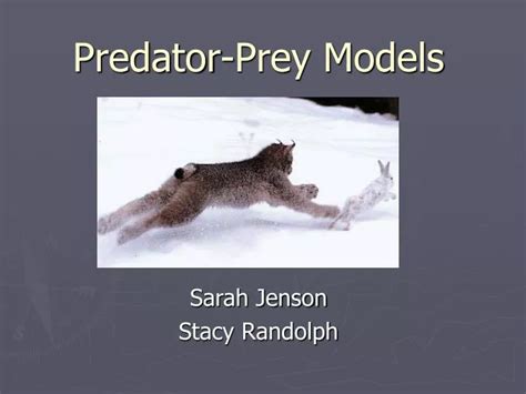 PPT - Predator-Prey Models PowerPoint Presentation, free download - ID ...