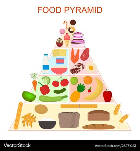 Cartoon Animal Food Pyramid