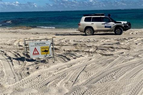 Coral Bay shark attack: Boy bitten whole snorkelling at popular reef