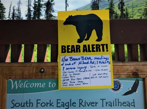 After deadly bear attack, hikers in Eagle River weigh risks - Alaska ...