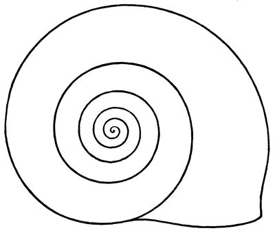 Free Shell Outline, Download Free Shell Outline png images, Free ClipArts on Clipart Library