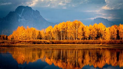 Autumn Trees On Lake Hd Nature 4k Wallpapers Images B - vrogue.co