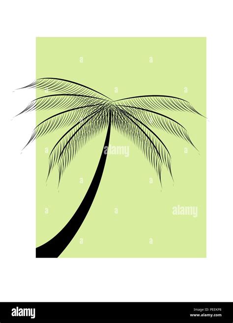 Coconut Tree Drawing High Resolution Stock Photography and Images - Alamy