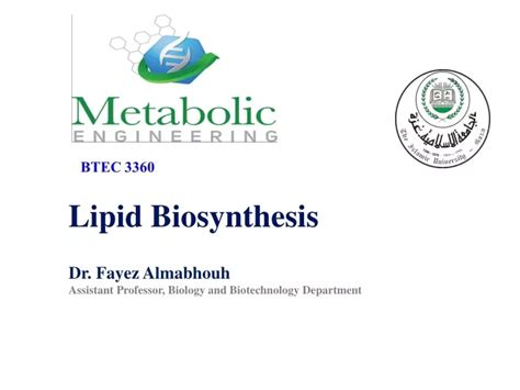 PPT - Lipid Biosynthesis PowerPoint Presentation, free download - ID:9485666